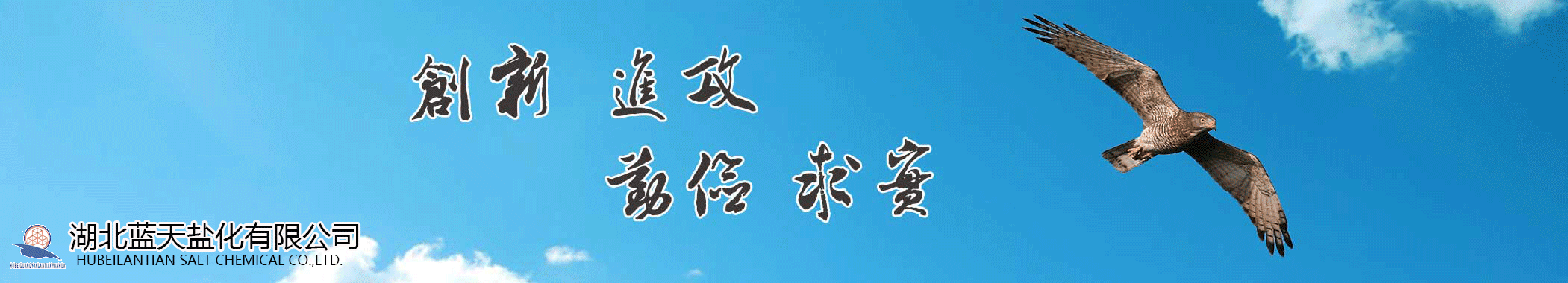 _湖北蓝天盐化有限公司